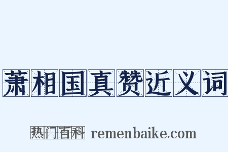 萧相国真赞近义词是什么意思的图片